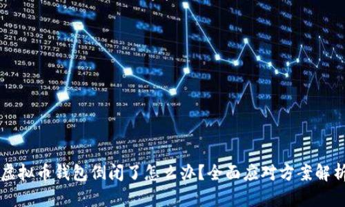 虚拟币钱包倒闭了怎么办？全面应对方案解析