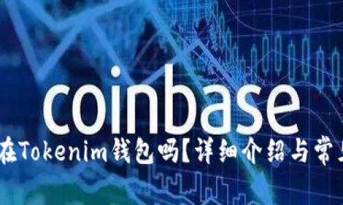 USDT能放在Tokenim钱包吗？详细介绍与常见问题解答