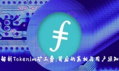 解析Tokenim矿工费：背后的真相与用户须知