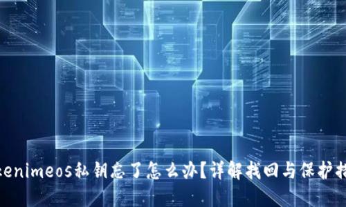 tokenimeos私钥忘了怎么办？详解找回与保护措施