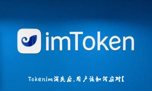 Tokenim消失后，用户该如何应对？