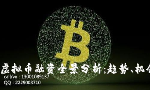 2019年虚拟币融资全景分析：趋势、机会与挑战