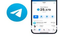 虚拟币诈骗手法解析：了解常见骗局，保护你的