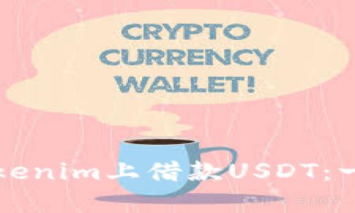 如何在Tokenim上借款USDT：一步步指南
