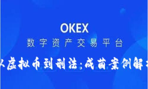 从虚拟币到刑法：成菌案例解析