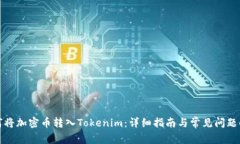 如何将加密币转入Tokenim：详细指南与常见问题解