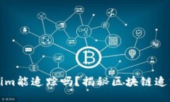 Tokenim能追踪吗？揭秘区块链追踪技术