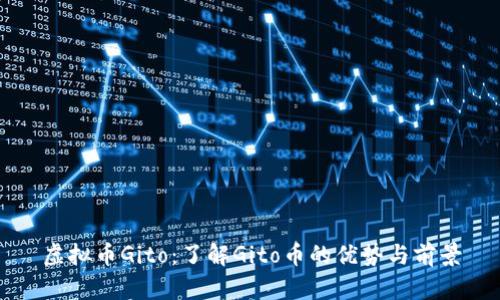 虚拟币Gito：了解Gito币的优势与前景