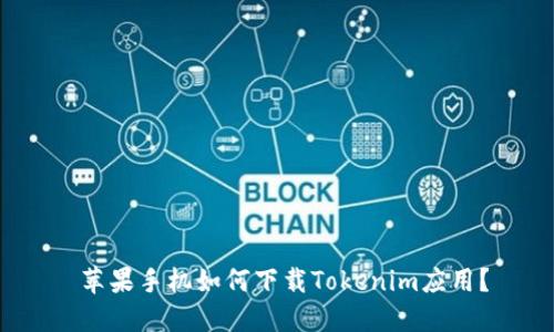  苹果手机如何下载Tokenim应用？