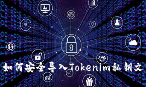 : 如何安全导入Tokenim私钥文件