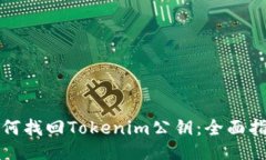 如何找回Tokenim公钥：全面指南