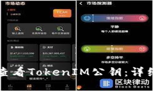 如何查看TokenIM公钥：详细指南