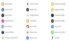 中文版的虚拟币钱包推荐与使用指南