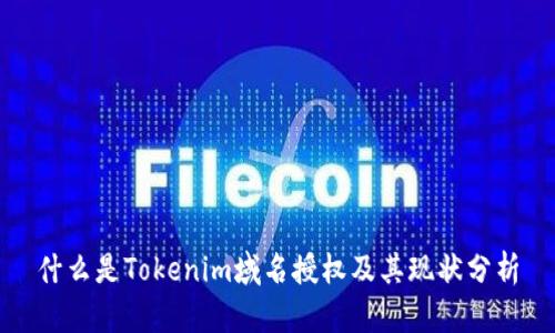 什么是Tokenim域名授权及其现状分析