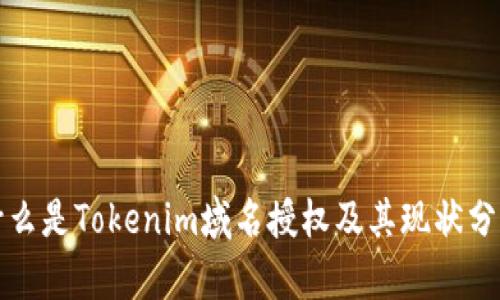 什么是Tokenim域名授权及其现状分析
