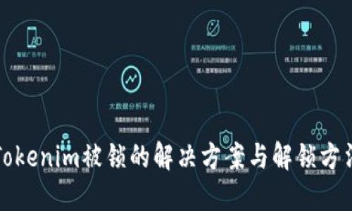 Tokenim被锁的解决方案与解锁方法