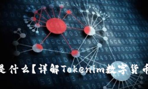 Tokenim是什么？详解Tokenim数字货币及其应用
