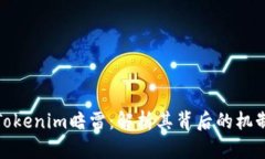 什么是Tokenim暗雷：解析其背后的机制与影响