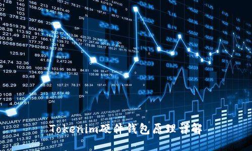 Tokenim硬件钱包原理详解