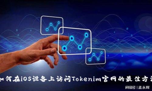 如何在iOS设备上访问Tokenim官网的最佳方法