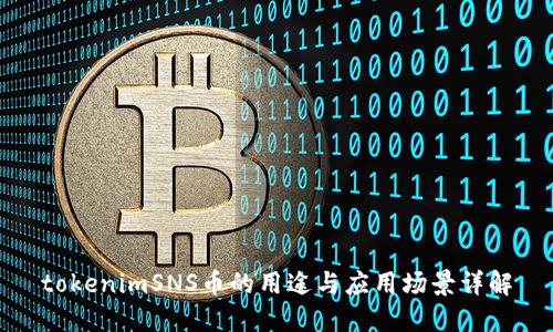 tokenimSNS币的用途与应用场景详解