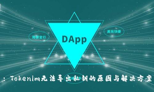 : Tokenim无法导出私钥的原因与解决方案