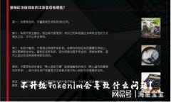 不升级Tokenim会导致什么问题？