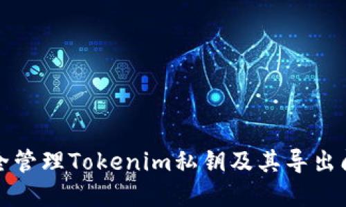 如何安全管理Tokenim私钥及其导出问题解答