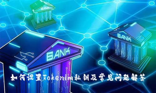 如何设置Tokenim私钥及常见问题解答