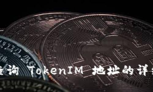 如何查询 TokenIM 地址的详细指南