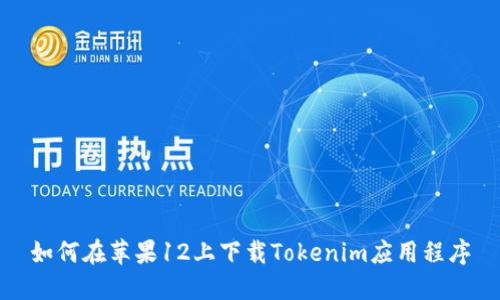 如何在苹果12上下载Tokenim应用程序